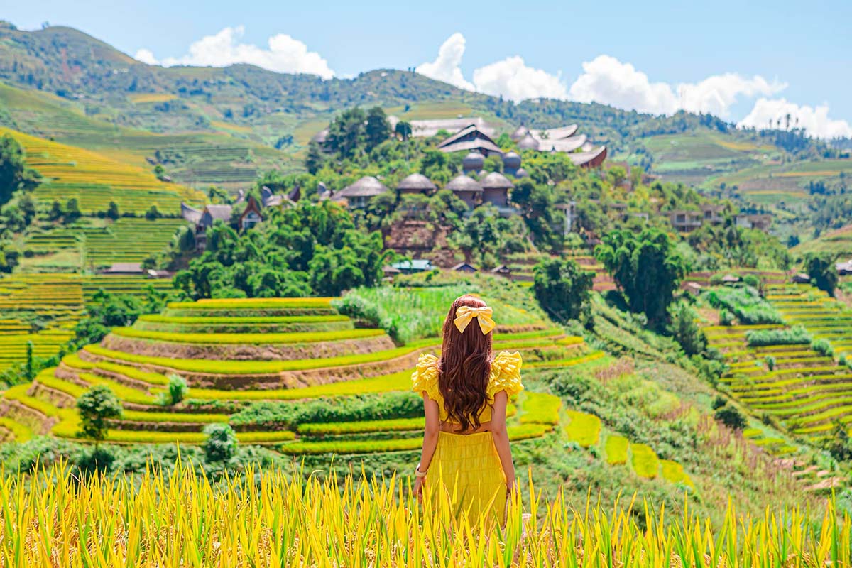 rice terraces in mu cang chai vietnam